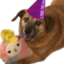 FeelsDaisyBdayMan emote for Discord