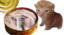 FermentBert emote for Discord