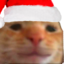 FeelsManNavidenyo emote for Discord