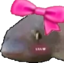 fishCute emote for Discord