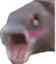 fishGasm emote for Discord