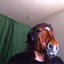 FHORSE emote for Discord