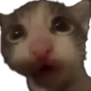 filip static emote for Discord, Twitch and Slack