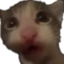 filip emote for Discord
