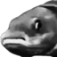 fishDespair emote for Discord