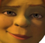 fionaW emote for Discord