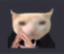 fino emote for Discord