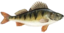 fishOKON emote for Discord