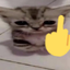 Fiddy emote for Discord