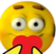 finest5L emote for Discord