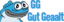 FishgeGG emote for Discord