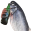 Fiheer emote for Discord