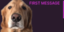 FirstTimeDogO emote for Discord