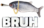 FihBruh emote for Discord