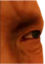 FinnishStare emote for Discord