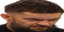 finnWIDE emote for Discord