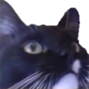 FigaroWhenTheBodiesHave static emote for Discord, Twitch and Slack