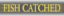 FishCatched emote for Discord