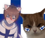 finnish emote for Discord