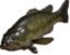 fishRE4 emote for Discord