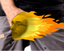 firegrab emote for Discord