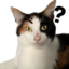 fibifragt emote for Discord