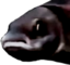 FishCooked emote for Discord