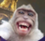 fabii emote for Discord