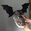 FATBAT emote for Discord