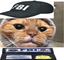 FBICat emote for Discord