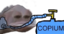 fCOPIUM emote for Discord