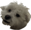 farleyScruff emote for Discord