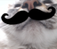 FancyMIMI emote for Discord