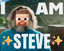 fake_steve emote for Discord