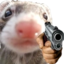ferretGun emote for Discord