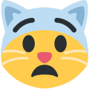 fearful_cat static emote for Discord, Twitch and Slack