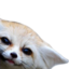 fenPeek emote for Discord