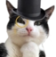 FeelsClassyCat emote for Discord