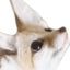 fenLookUp emote for Discord