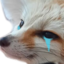 fenStrong emote for Discord