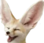 fenHappy emote for Discord