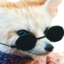 fenBased emote for Discord