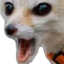 fenPog emote for Discord