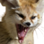 fenCEASE emote for Discord