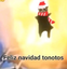 Feliznavidadtonotos emote for Discord