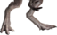 Feet emote for Discord
