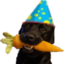 FeelsBirthdayCarrot emote for Discord