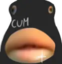FEESH emote for Discord