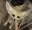 fenboop emote for Discord