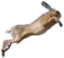 flyingrabbit emote for Discord